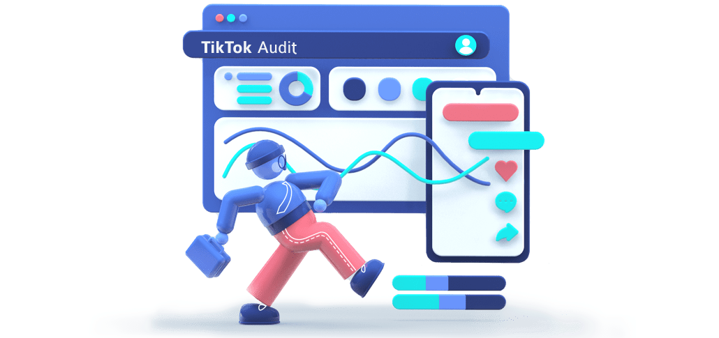 TikTok Audit Tool