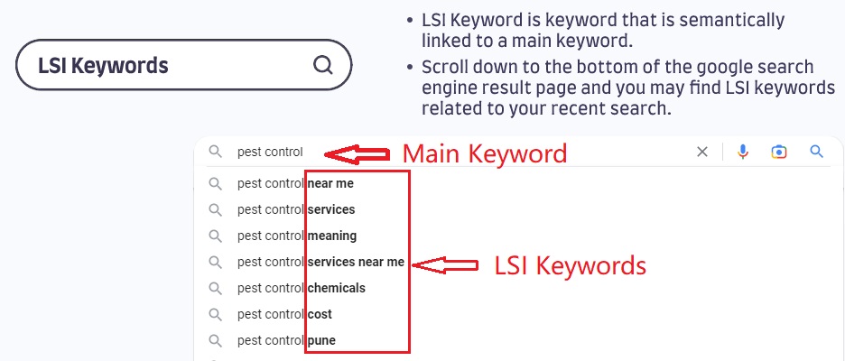 8 Types of Keywords in SEO – Why They Matter